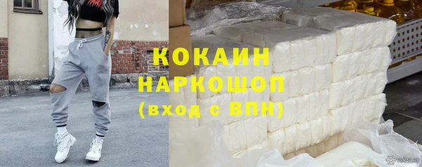 дмт Богданович