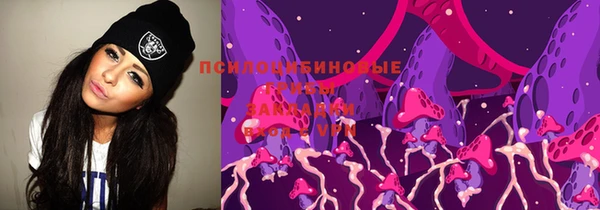 мдпв Богородицк