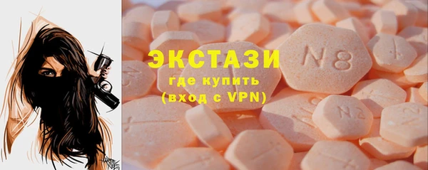 дмт Богданович