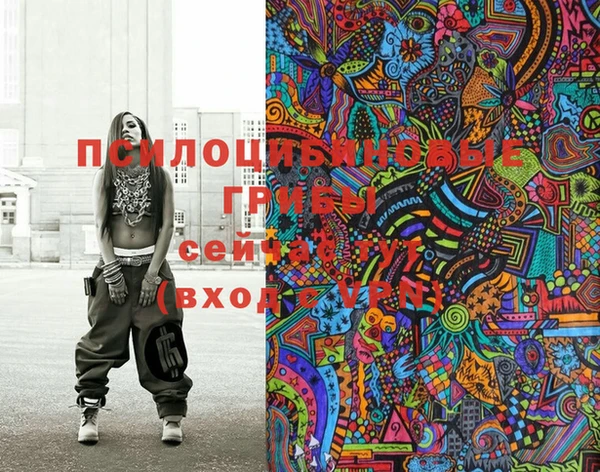 apvp Бугульма