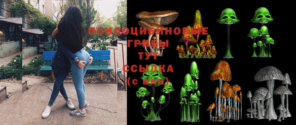 мдпв Богородицк