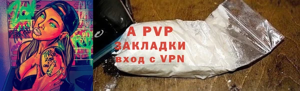дмт Богданович