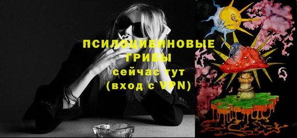 мдпв Богородицк