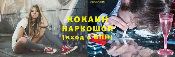 дмт Богданович