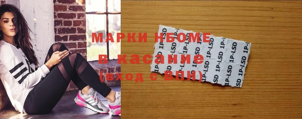 дмт Богданович