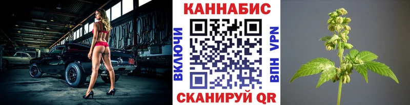 где найти   Короча  Каннабис VHQ 